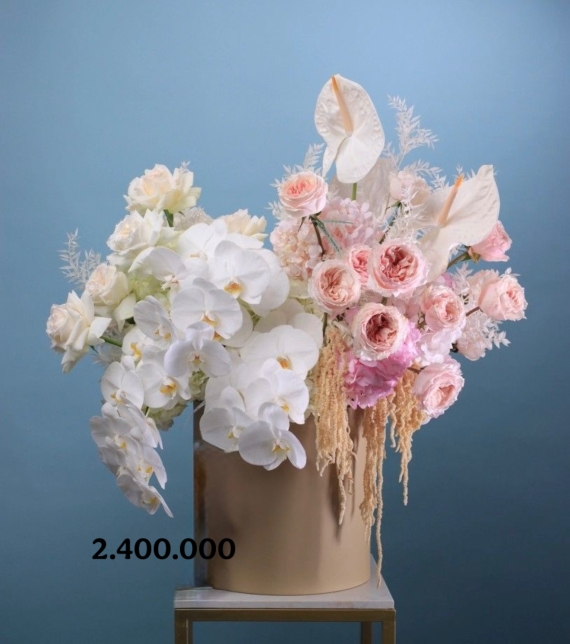 Orchid Elegance Box – Hộp Hoa Lan Thanh Lịch