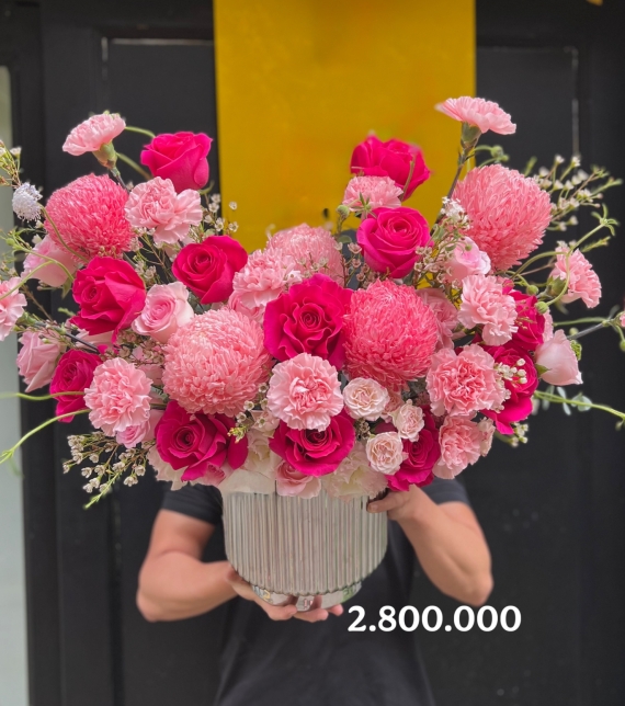 Hồng Vân Tiệc Sắc