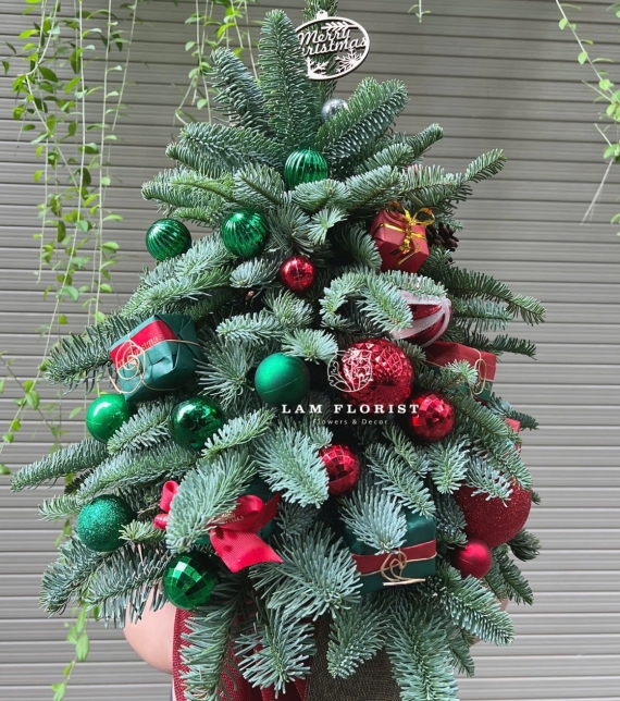  “Emerald Christmas” – Cây Thông Đan Mạch Xanh Ngọc (hoặc tiếng Việt: “Sắc Xanh Giáng Sinh”)