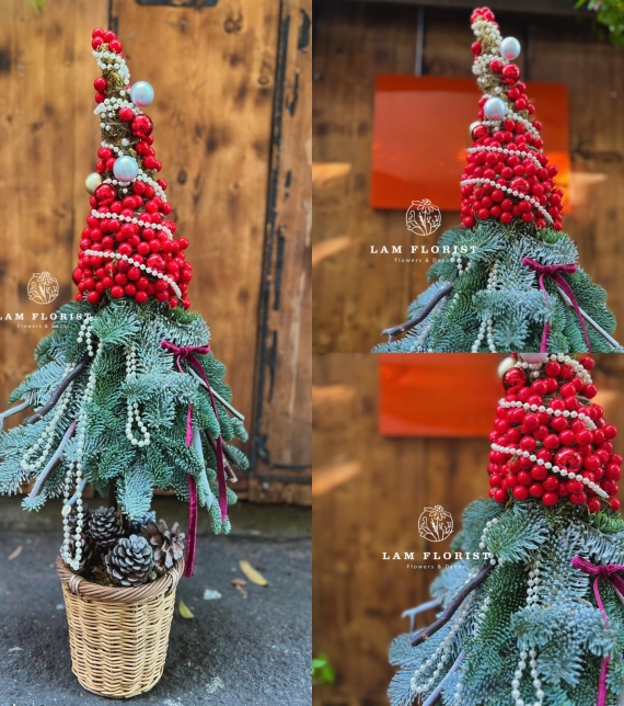  “Santa’s Hat” – Cây Thông Nón Giáng Sinh Đan Mạch