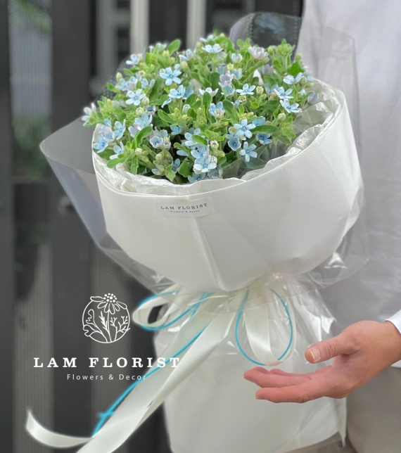 Lam Tinh Dịu dàng xanh