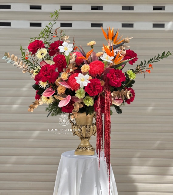 Glorious Red – Hào quang đỏ 