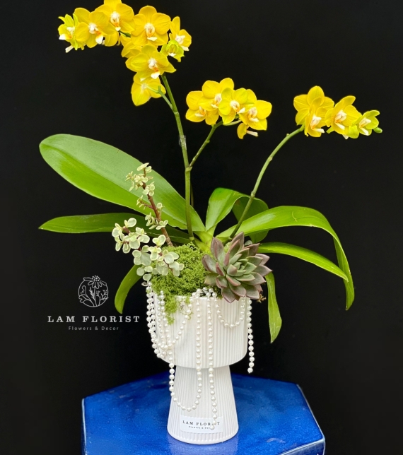 “Nắng Bình An”