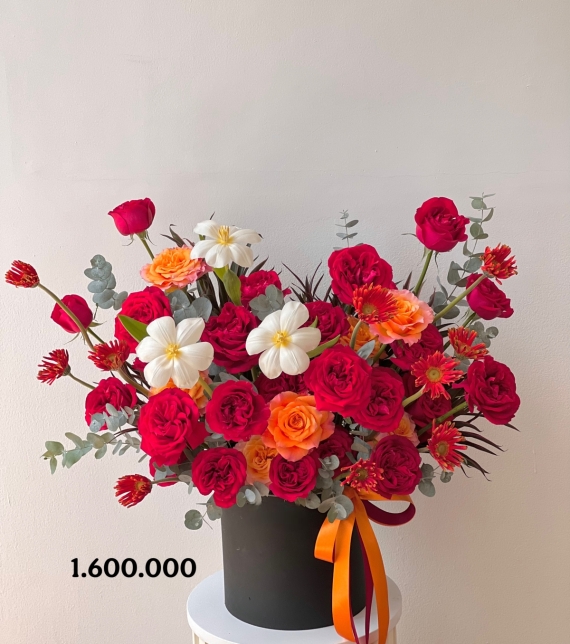 Rạng Vinh Quý Phái