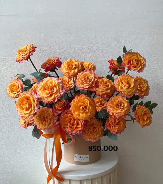 “Tinh Khôi Spirit – Pure Spirit Blossom”