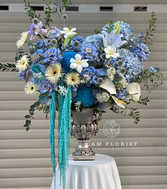 Blue Harmony – Giai điệu xanh thanh khiết  