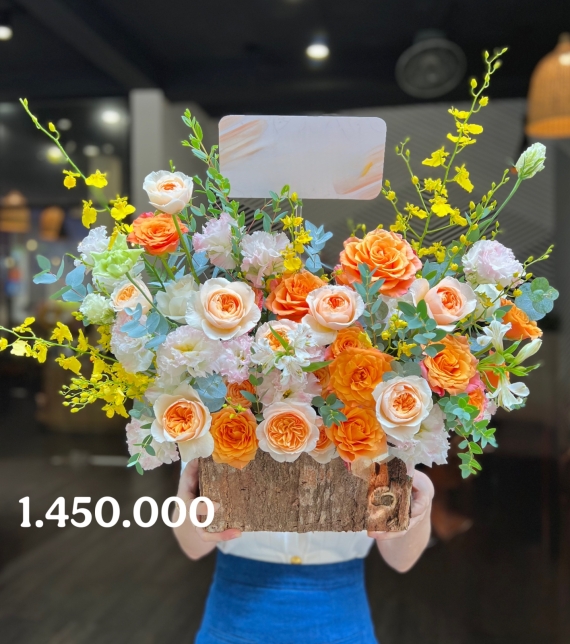 “Jubilee Mộc Cam – Nắng Sớm Trong Rừng”