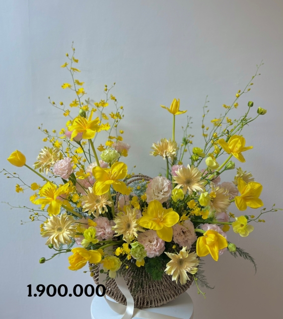 “Dịu Nhẹ Hoàng Kim – Soft Golden Bloom”