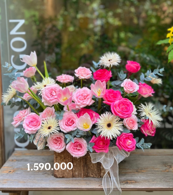 “Hồng Vân Ái Lạc”