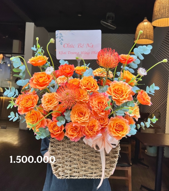  “Rực Sắc Hồng Phát”