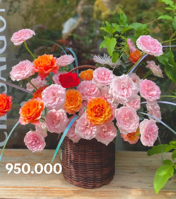 Sắc Cam Tinh Khôi