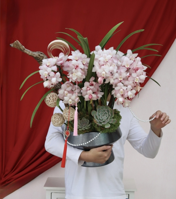 Địa Lan Phú Quý Xuân