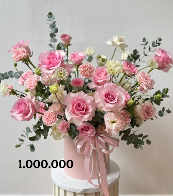  “Lạc Thần Thanh Nhã – Divine Blush Elegance”