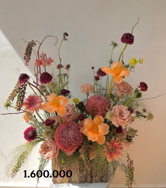 “Dấu Ấn Thanh Nhã – Elegant Harmony”