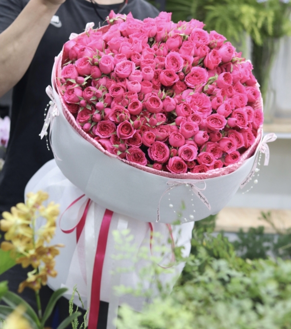 Sofia Royale – Vũ Điệu Hồng Kiêu Hãnh