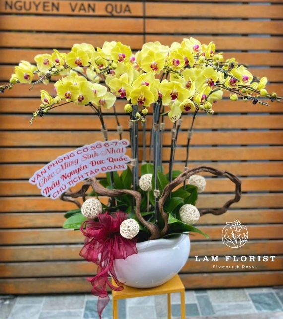 Chậu Lan Hồ Điệp Vàng 15 cành- Chúc Mừng Sinh Nhật