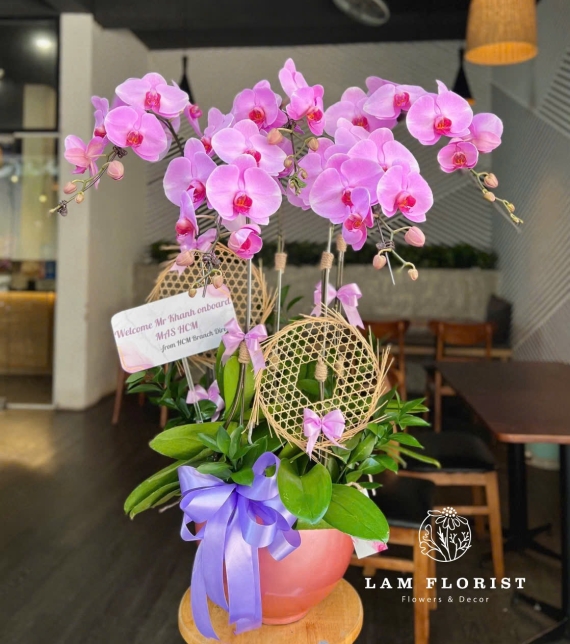 Chậu Lan Hồ Điệp Tím Nhạt 5 Cành 