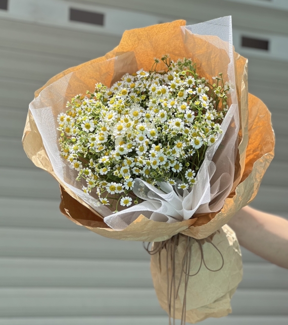 “Tana’s Whisper – Lời Thì Thầm Của Nắng”