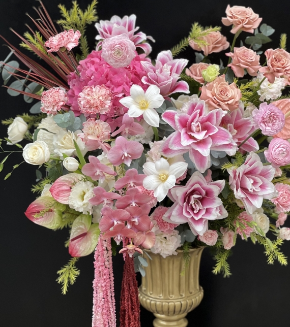 Dáng Hồng Thanh Xuân - “The Blush Symphony”