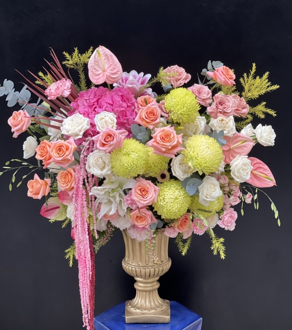 Vũ Khúc Sắc Hoa - “The Bloom Sonata”