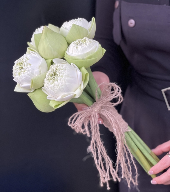 TINH LIÊN - HOA CÔ DÂU ĐẶC BIỆT