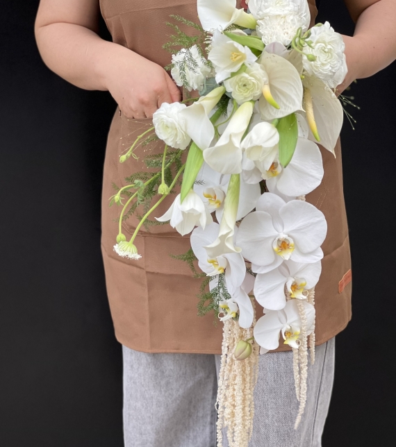 “Dòng Trắng Vĩnh Cửu”