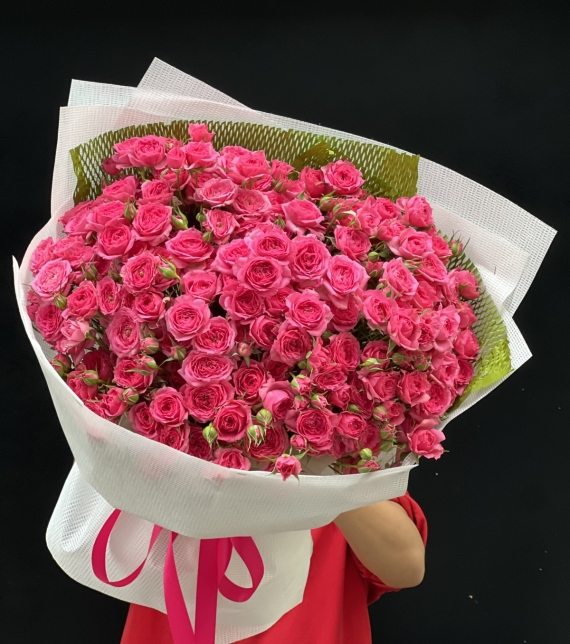 “Sofia Rực Rỡ – Lời Yêu Thương Ngọt Ngào”