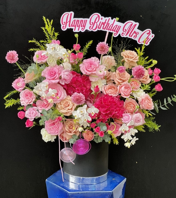 “Sắc Hồng Thanh Khiết”