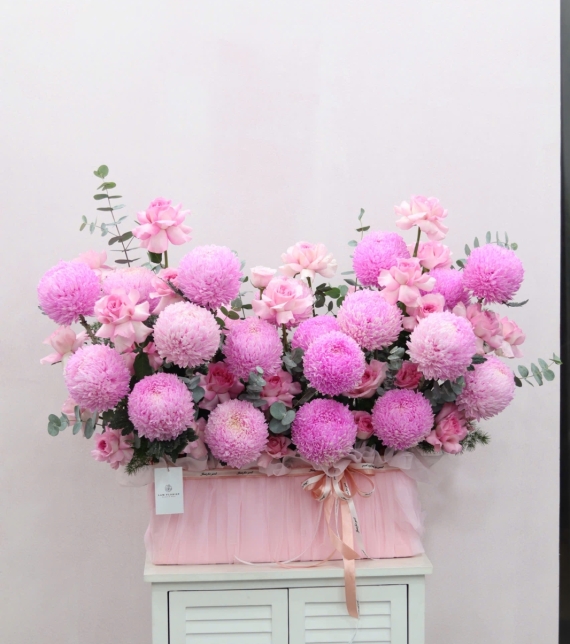 Blush Peony Elegance – Vẻ Đẹp Mẫu Đơn Phấn Hồng