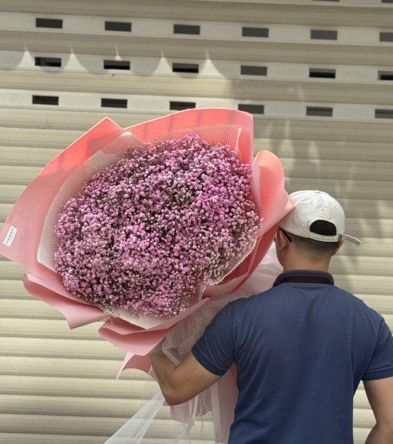 “Baby Hồng Mây – Vẻ Đẹp Mong Manh Như Áng Sớm