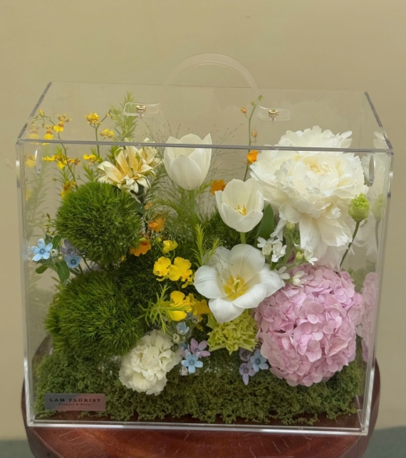 Vali Mica Nhẹ Nhàng