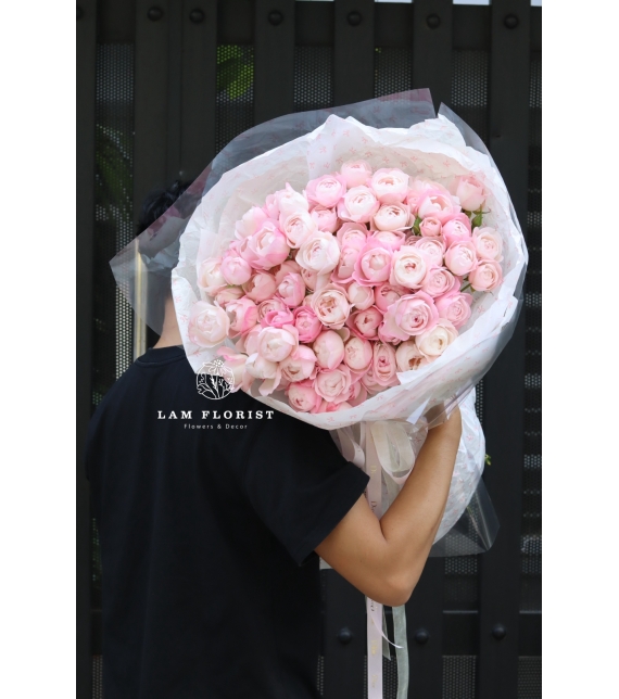 🌸 Pink Plume Symphony – Giai Điệu Hồng Thanh Khiết