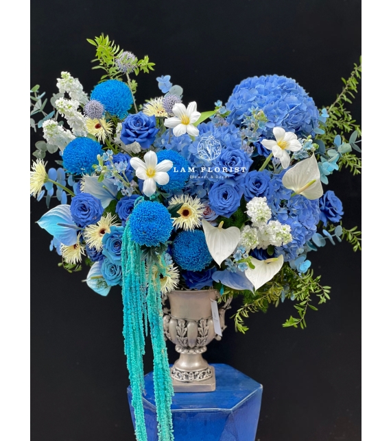 Blue Symphony – Giai điệu xanh của yêu thương