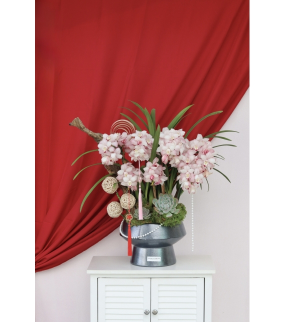 Địa Lan Phú Quý Xuân