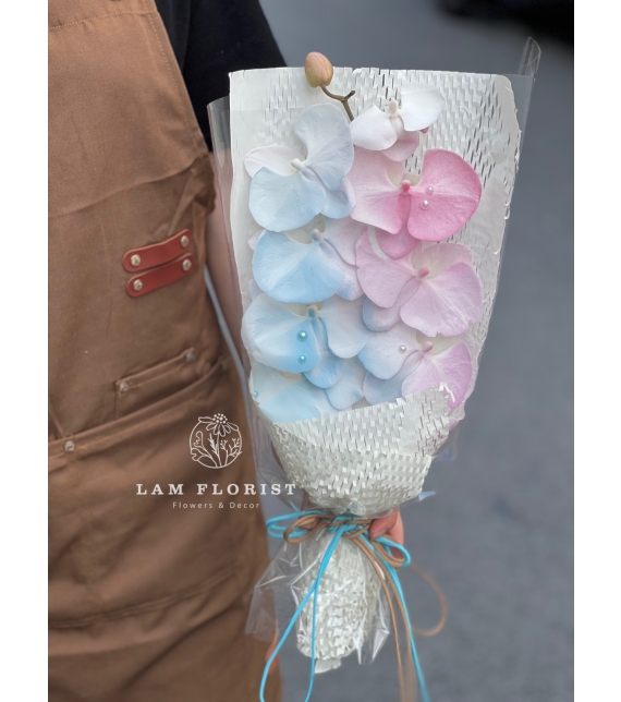 Bó 1 cành Lan Hồ Điệp Thanh Khiết