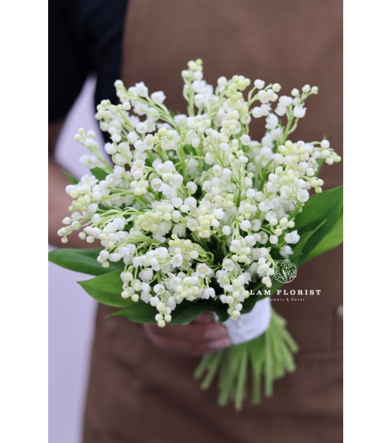 Snowbell Elegance – Thanh Khiết Chuông Tuyết