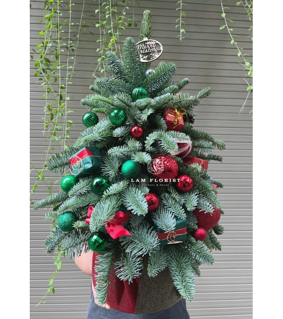  “Emerald Christmas” – Cây Thông Đan Mạch Xanh Ngọc (hoặc tiếng Việt: “Sắc Xanh Giáng Sinh”)