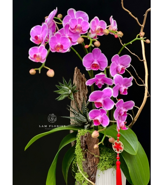 “Vũ điệu Tài Lộc”