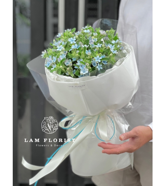 Lam Tinh Dịu dàng xanh