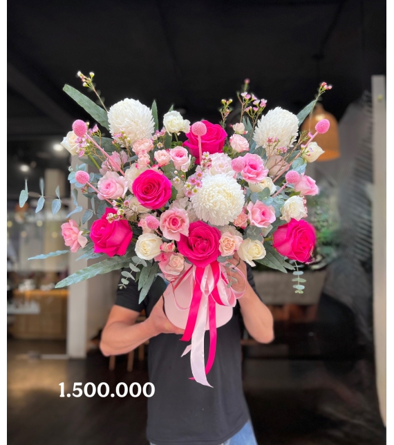 Quý Phái Tinh Khôi