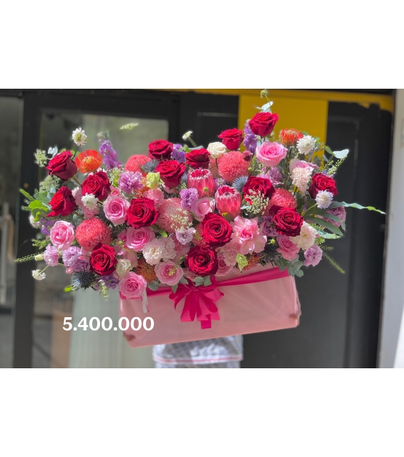 “Hồng Vân Dạ Tiệc – Grand Scarlet Peony Bloom”