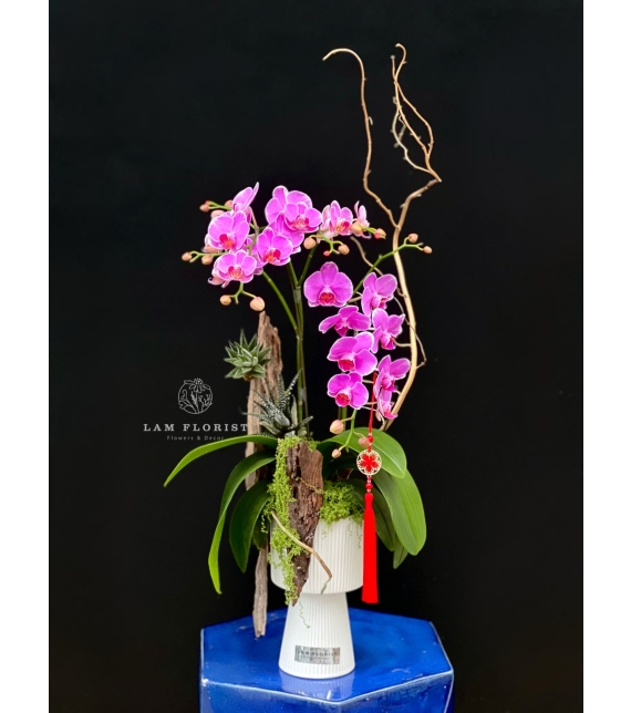 “Vũ điệu Tài Lộc”