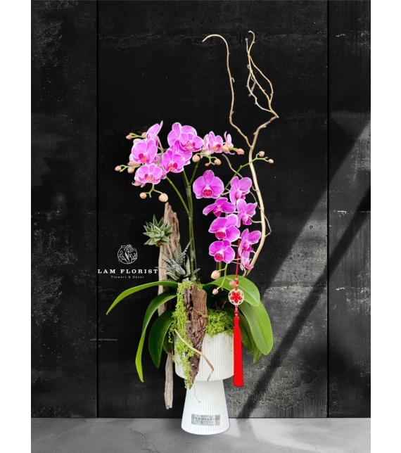 “Vũ điệu Tài Lộc”