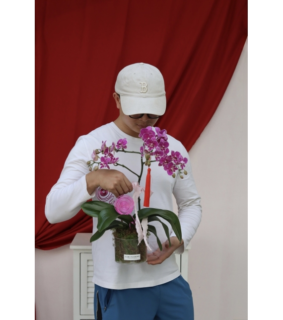 Lan Phúc Hồng Xuân Mini