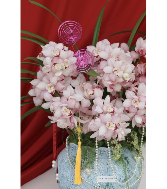 Địa Lan Cát Phúc Xuân 