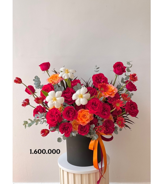 Rạng Vinh Quý Phái