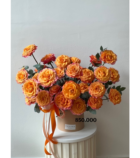 “Tinh Khôi Spirit – Pure Spirit Blossom”