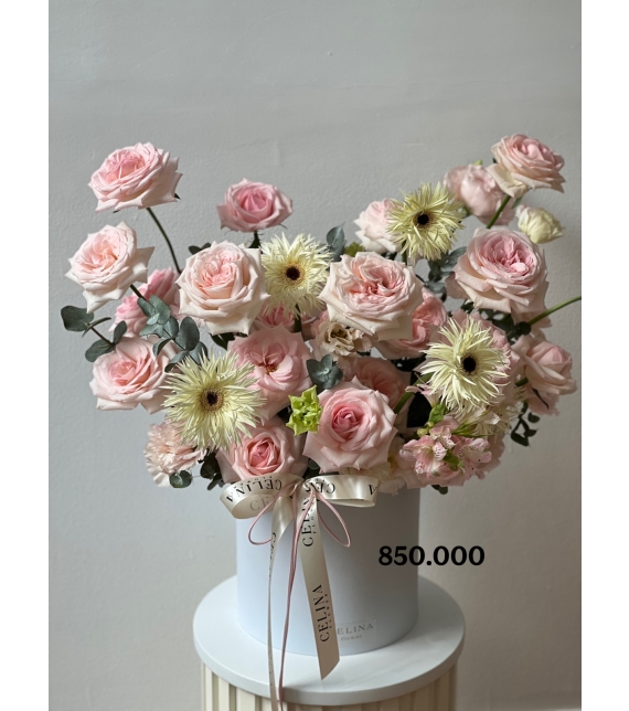 . “Nàng Thơ Thanh Khiết – Pure Muse”