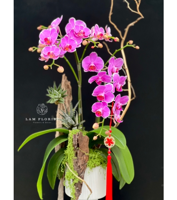 “Vũ điệu Tài Lộc”