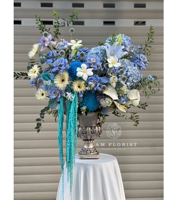 Blue Harmony – Giai điệu xanh thanh khiết  